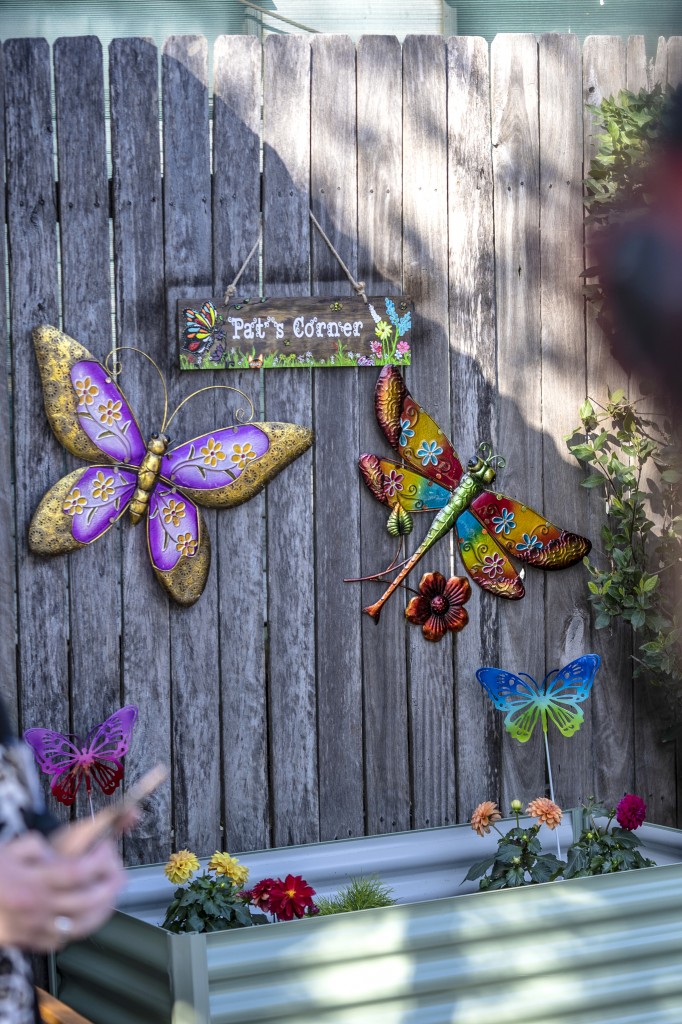 Pat's garden with ornamental butterflies